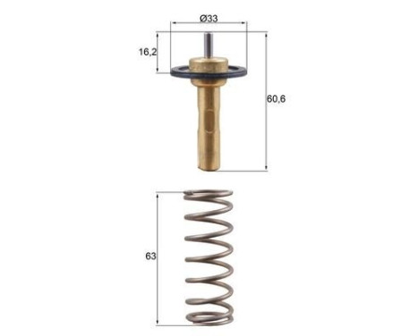 Thermostat, coolant