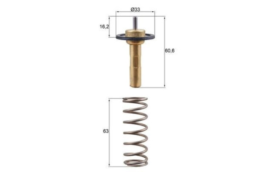 Thermostat, coolant