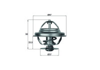 Thermostat, coolant