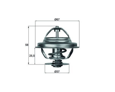 Thermostat, coolant