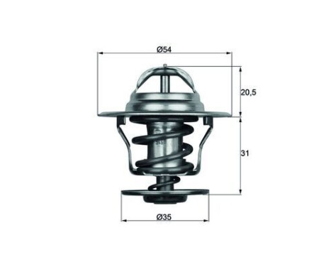 Thermostat, coolant