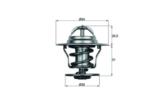 Thermostat, coolant