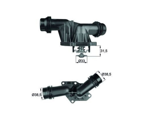 Thermostat, coolant