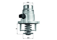 Thermostat, coolant