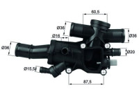 Thermostat, coolant