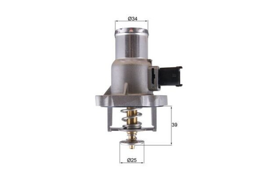 Thermostat, coolant