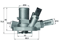 Thermostat, coolant
