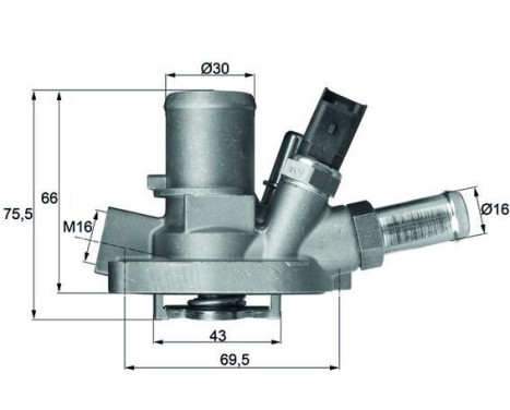 Thermostat, coolant