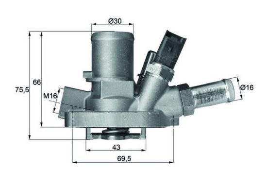 Thermostat, coolant