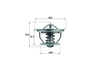 Thermostat, coolant