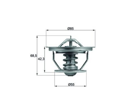 Thermostat, coolant