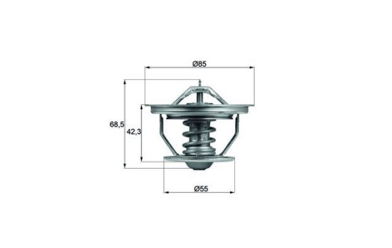 Thermostat, coolant