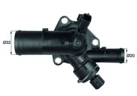 Thermostat, coolant