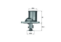 Thermostat, coolant