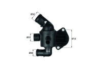 Thermostat, coolant