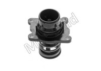 Thermostat, coolant