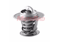 Thermostat, coolant