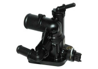 Thermostat, coolant