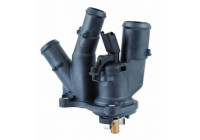 Thermostat, coolant