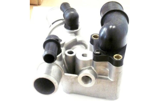 Thermostat, coolant