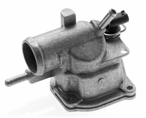 Thermostat, coolant