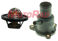Thermostat, coolant