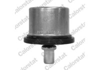 Thermostat, coolant