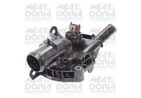 Thermostat, coolant