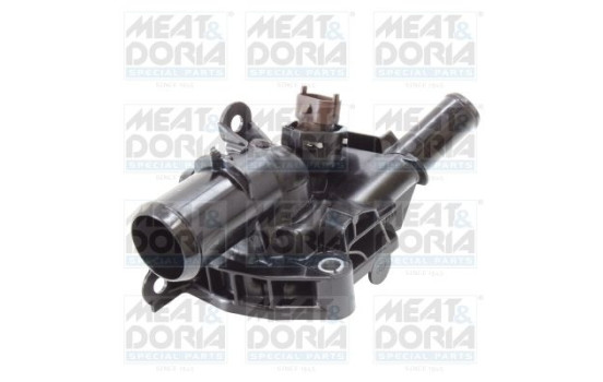 Thermostat, coolant
