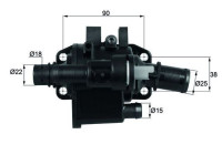 Thermostat, coolant