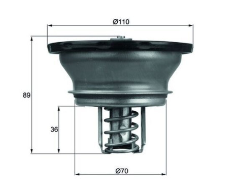Thermostat, coolant