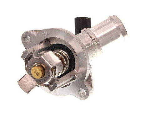 Thermostat, coolant