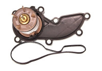 Thermostat, coolant