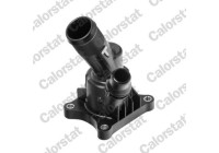 Thermostat, coolant