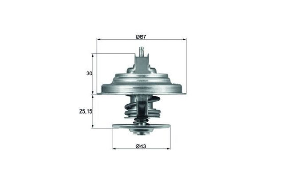 Thermostat, coolant