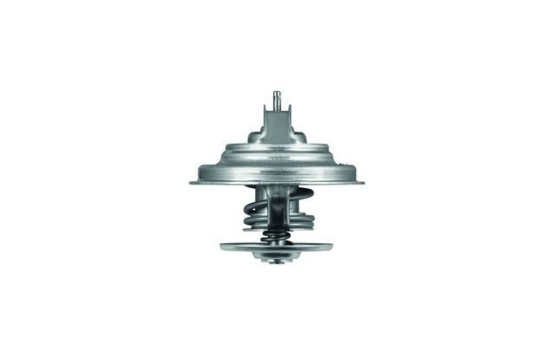 Thermostat, coolant, Image 2