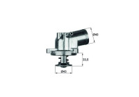 Thermostat, coolant