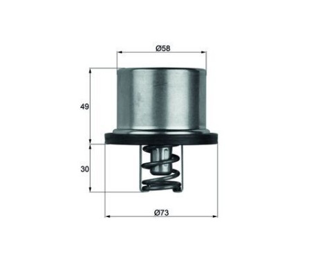 Thermostat, coolant