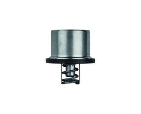 Thermostat, coolant, Image 2