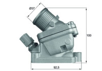 Thermostat, coolant
