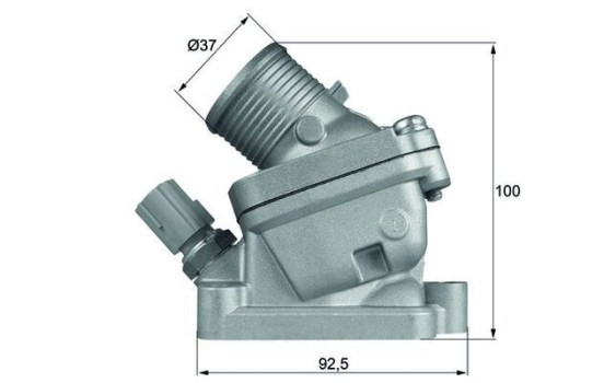 Thermostat, coolant