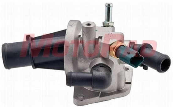 Thermostat, coolant