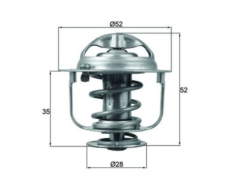 Thermostat, coolant