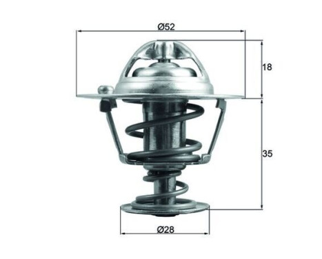 Thermostat, coolant
