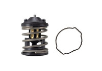 Thermostat, coolant