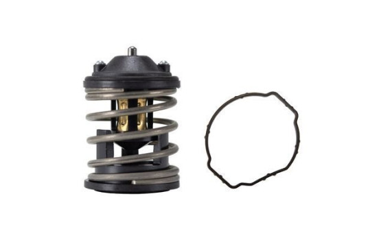 Thermostat, coolant