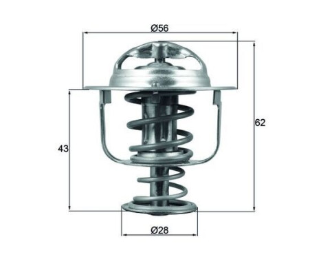 Thermostat, coolant