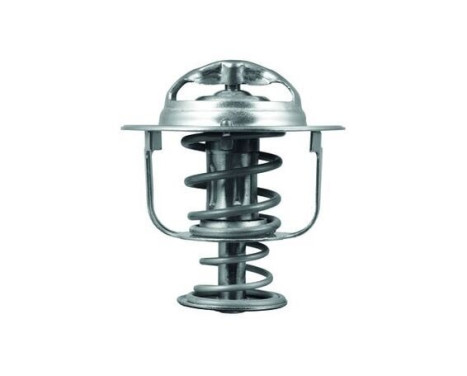 Thermostat, coolant, Image 2