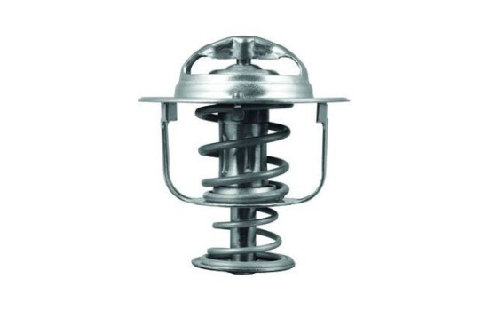 Thermostat, coolant, Image 2