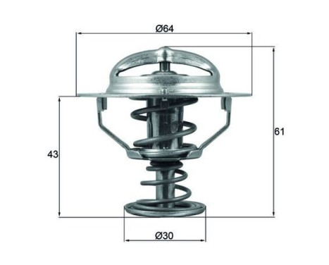 Thermostat, coolant